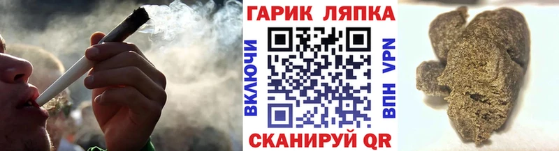 ГАШ Premium  Судак 
