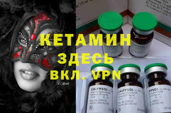крисы Балахна