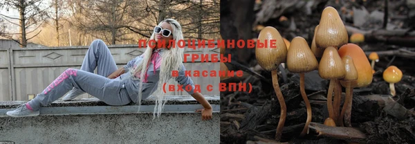 скорость Баксан