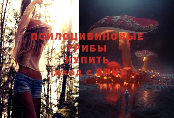 крисы Балахна