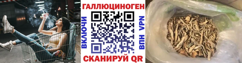 Галлюциногенные грибы GOLDEN TEACHER маркетплейс как зайти Судак как найти